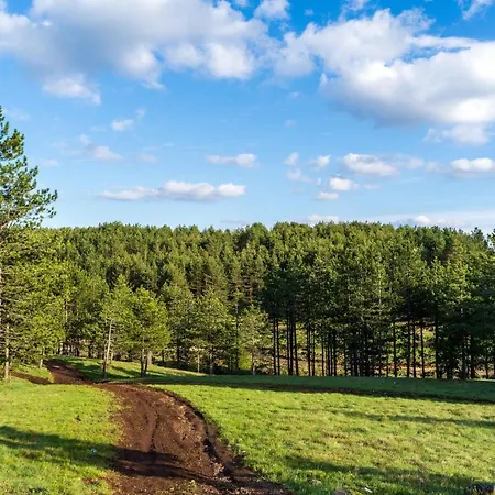 Brka Apartman Zlatibor
